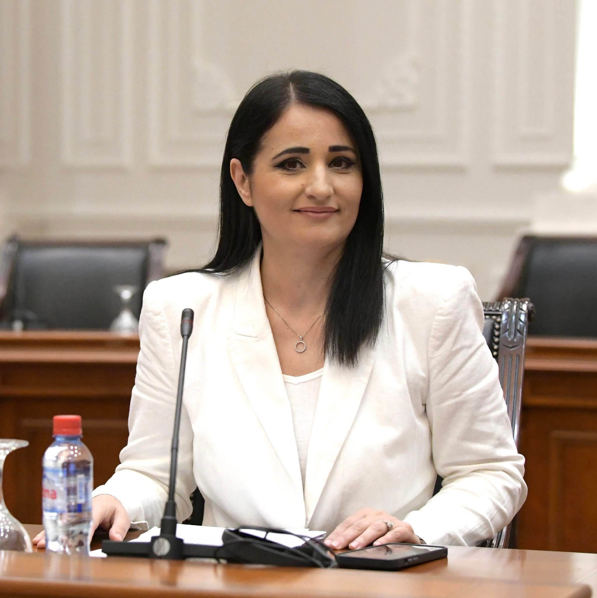 Azizi  Miratohen 829 projekte me vlerë rreth 15 miliardë denarë për rrugë  shkolla  çerdhe  palestra sportive  ujësjellës dhe kanalizim