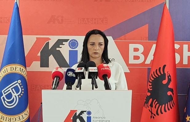 BDI  Mickoski në panik  VLEN drejt shpërbërjes politike
