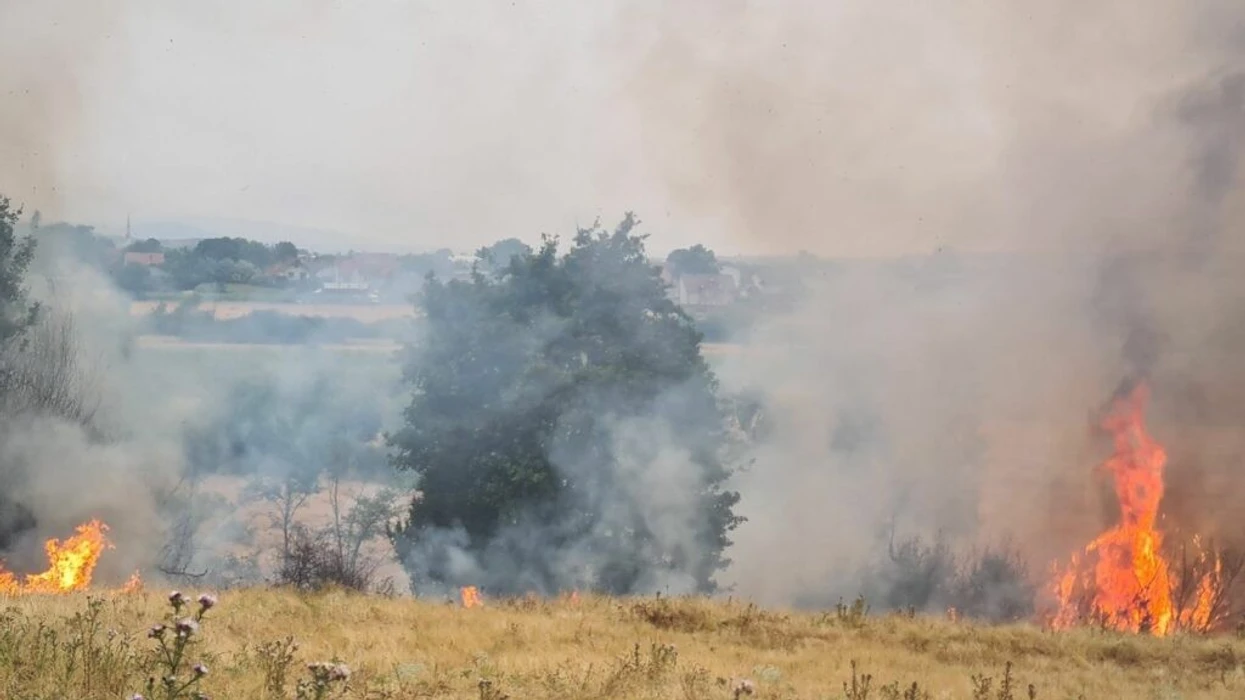 Komuna e Resnjës do të kompensojë qytetarët që pësuan dëmë të kulturave bujqësore  të shkaktuara nga zjarri