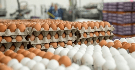 u-rrit-cmimi-i-vezeve-qytetaret-ne-hall-jane-bere-luks