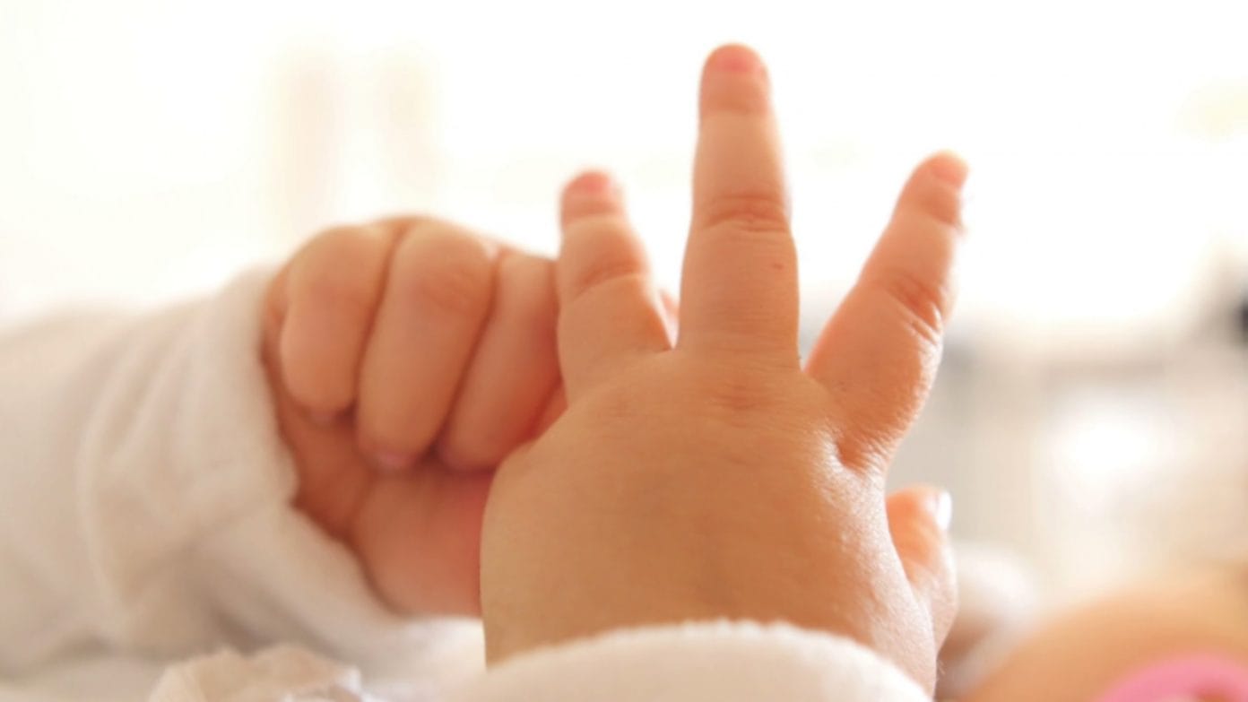 Haraçina  Studeniçani  Saraji  Likova dhe Çairi kryesojnë për rritjen natyrore të popullsisë