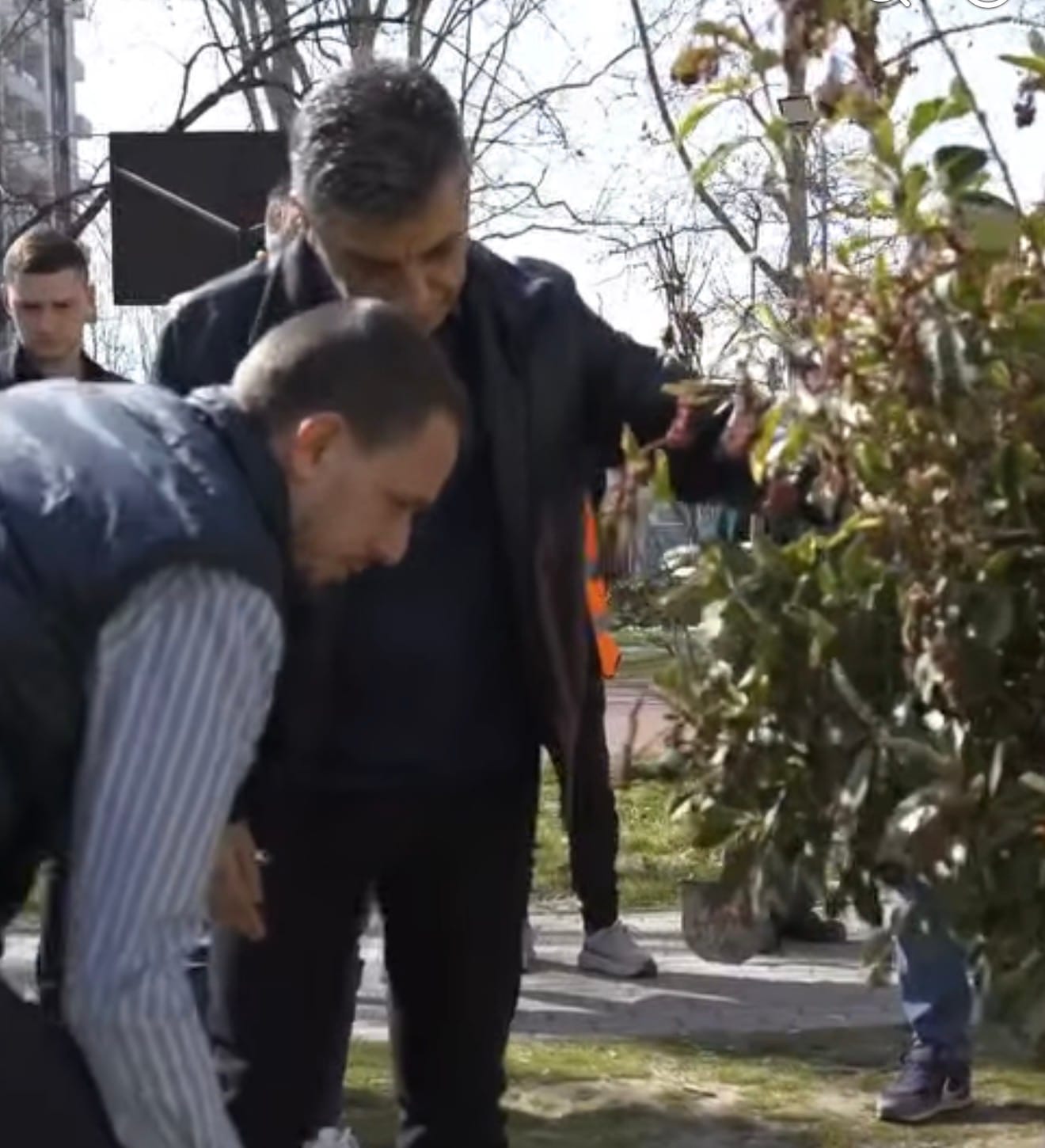 mexhiti-drunjte-nga-kampusi-i-universitetit-nene-tereza-do-te-rimbillen-ne-parkun-e-ri-rilindja-ne-cair