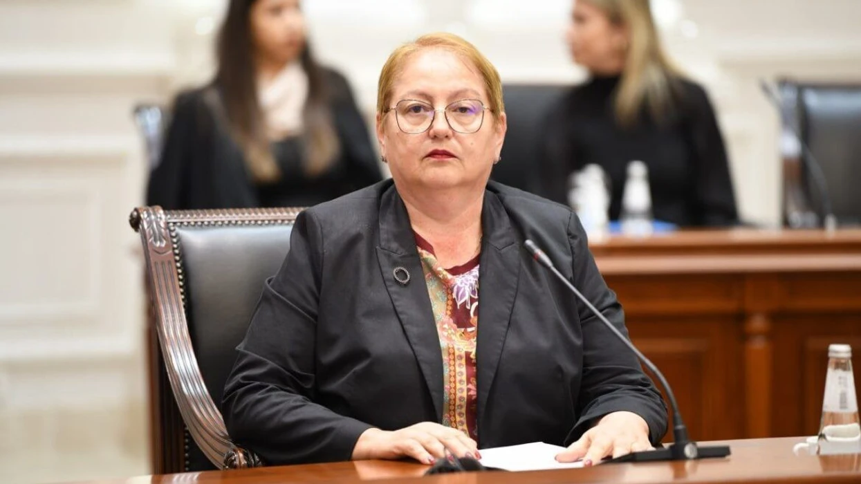 Janevska  Kemi pranuar shumë vërejtje për Ligjin e ri për arsim të lartë