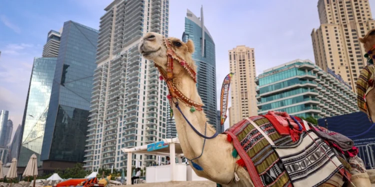 dubai-po-shembet-c-po-ndodh-vertet-pas-shkelqimit