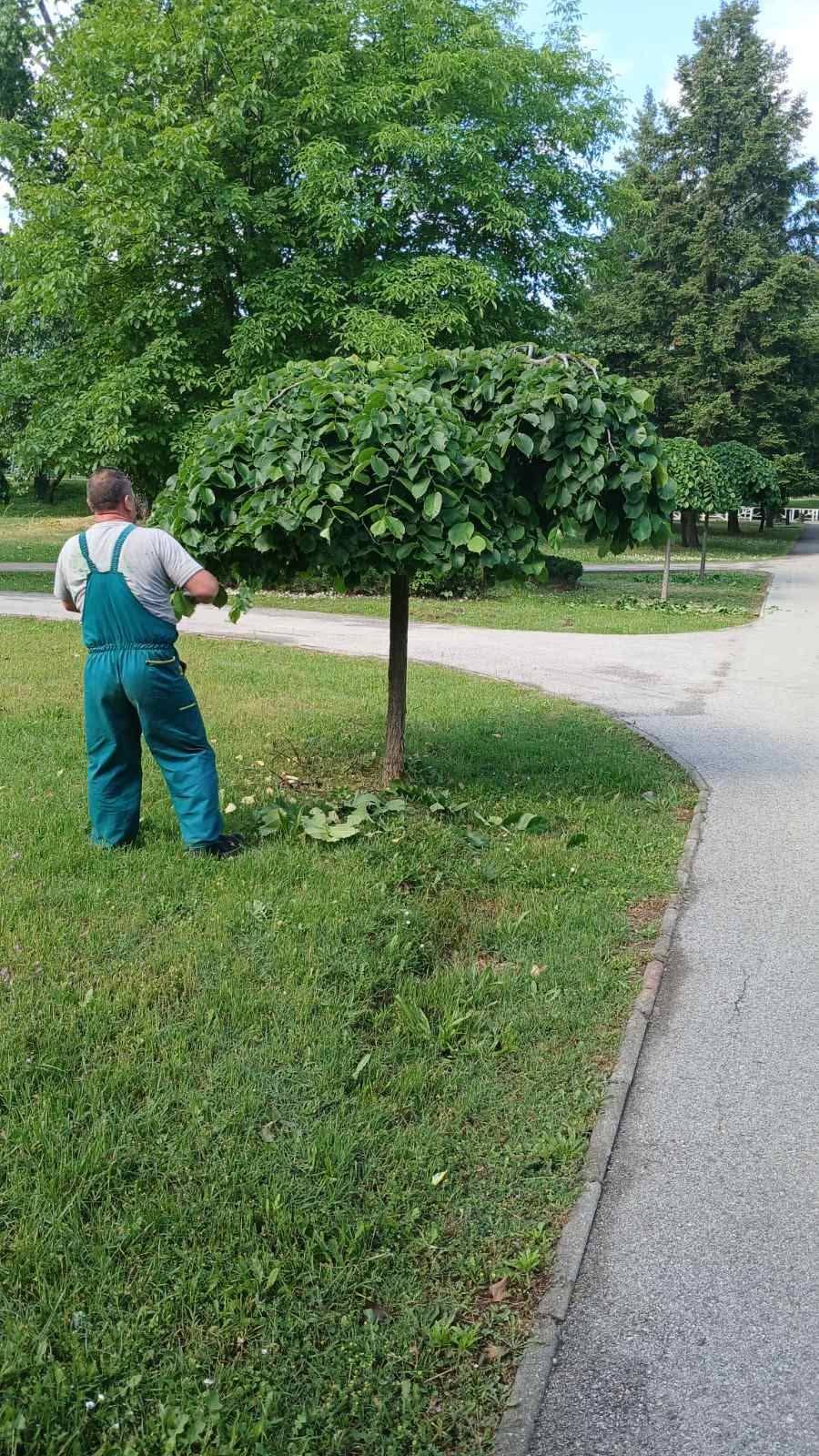 Seferi  Rregullimi i sipërfaqeve të gjelbra publike mbetet prioritet