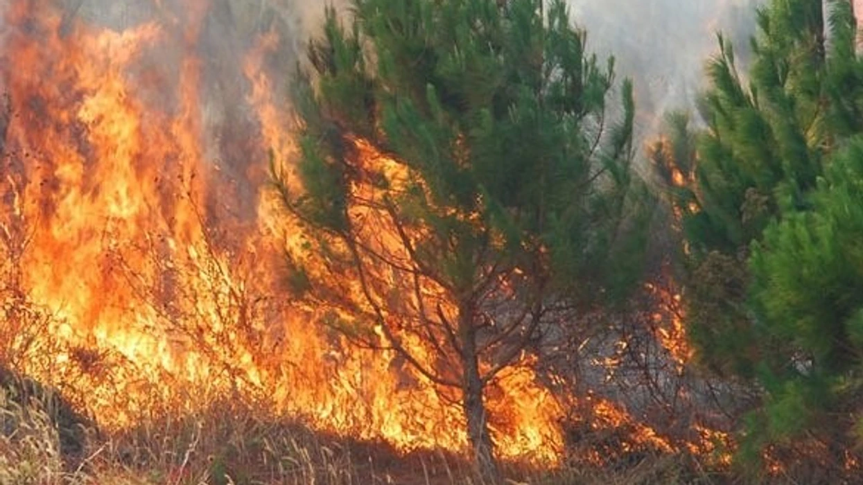 Në 24 orët e fundit në Maqedoni janë regjistruar gjithsej 11 zjarre  një është atkiv