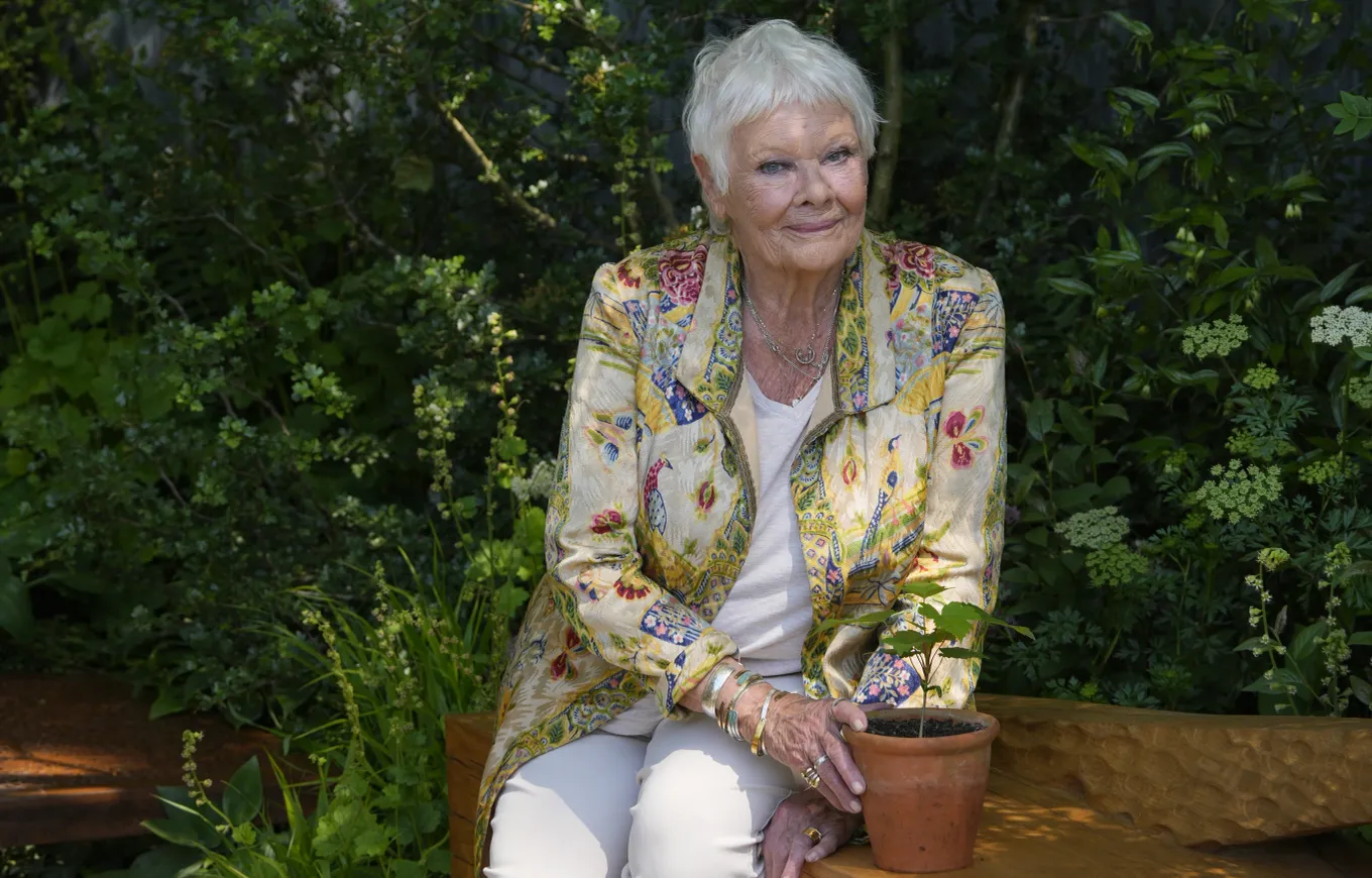 judi-dench-voziti-per-30-vjet-pa-patente-shoferi